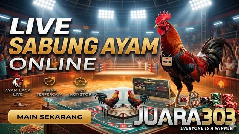 Siaran langsung pertandingan sabung ayam online Sv388 di JUARA303